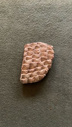 Roman Pottery Shard from Ceasaria Israel from the time of Jesus