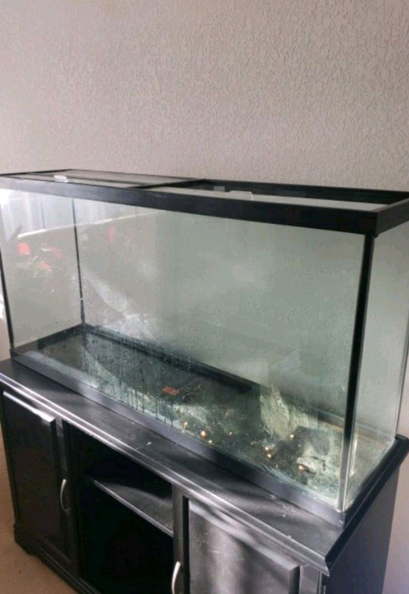 Fish Tank 60 gal with stand