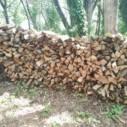 Cord Cherry/ Oak