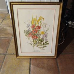 Flower Of The Feild Artwork