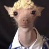 Danny