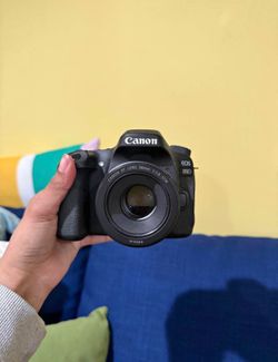 Canon EOS 80D with 3 lenses