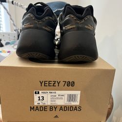 Adidas Yeezy 700 V3 (Clabro)