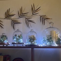Glass & Wood Cloche’s Home Decor, Christmas, Holiday, Party, Plants, Desserts 