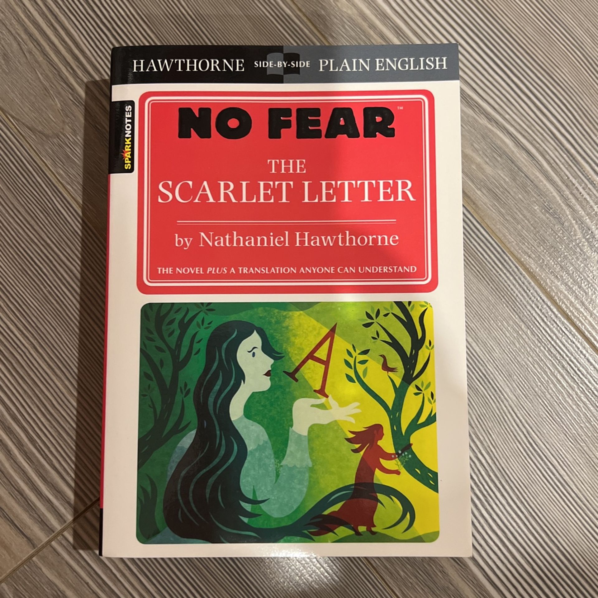 Modern Translation Sparknotes Scarlet Letter