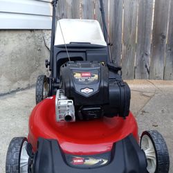 Toro 21" Inch Recycler Push Lawnmower With Bag And High Rear Wheels 