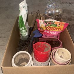 Box Of Plant Stuff