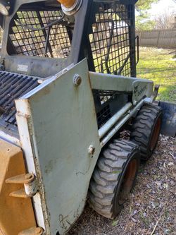 Bobcat