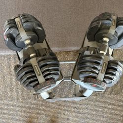 Bowflex Adjustable Weights