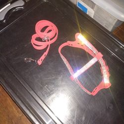 Small Dog Rhinestone Harness & Leash