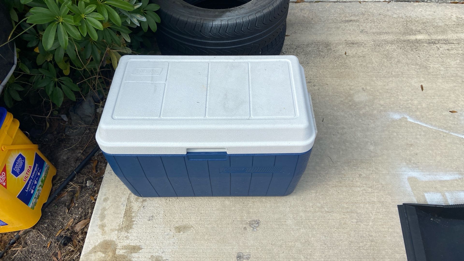 Coleman Cooler