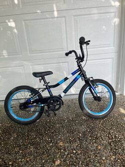Guardian 16 inch bike