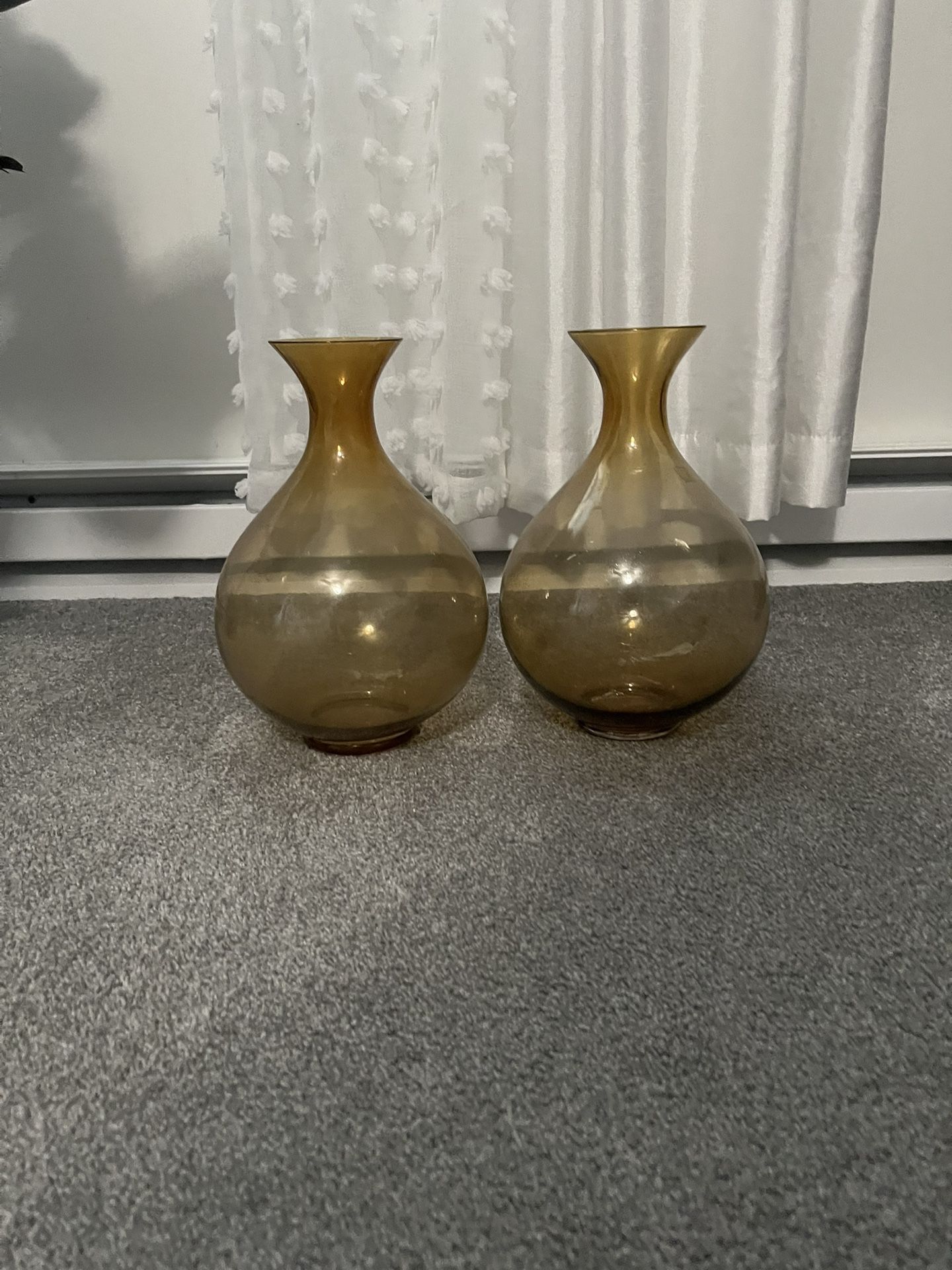 2 Glass Vases 