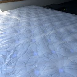 King Size Eastern Euro King Koil Intimate Medium Firm Euro Top Pillow Aireloom Kluft Hotel Collection Avocado Grand Luxe Tempurpedic Saatva Purple 