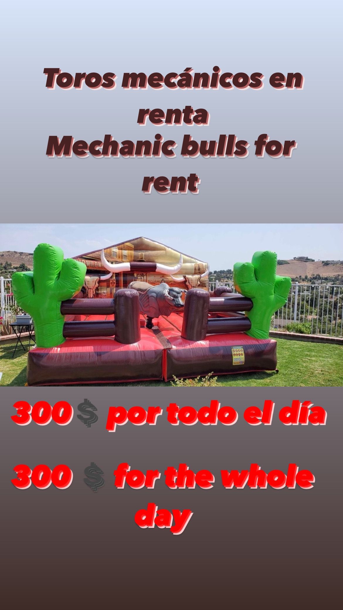 Toros Mecánicos/ Mechanical Bulls 