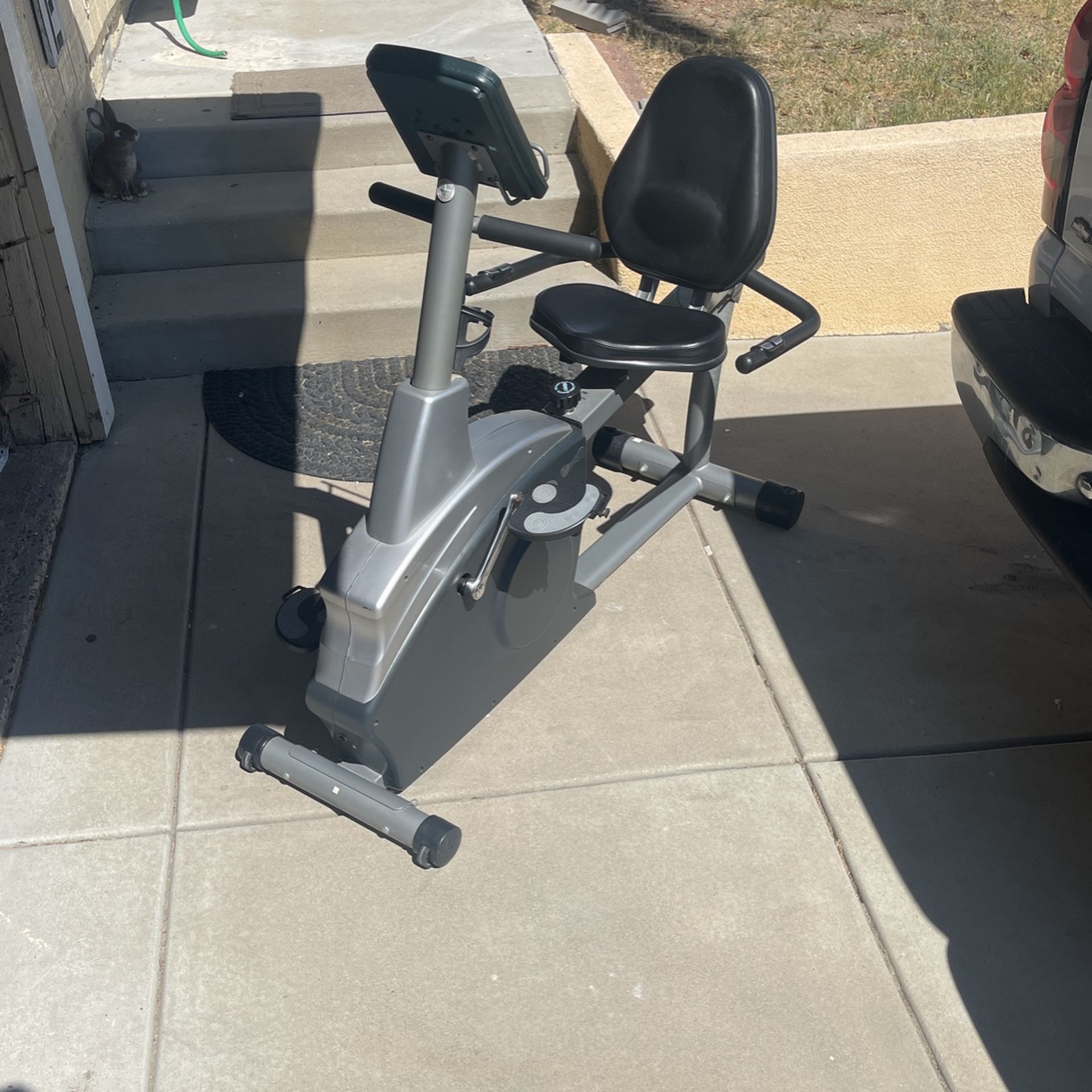 Schwinn 203 Recumbent Exercise Bike