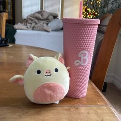 Barbie Tumble And A Squishamallow