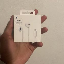 Apple Earbuds