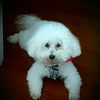 JUNIOR
