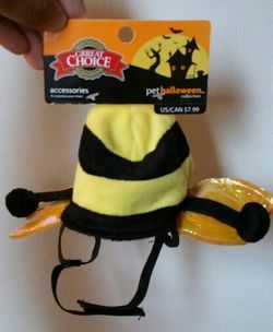 Great Choice Bumble Bee Pet Hat