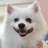 Casper
