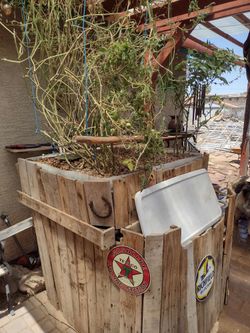Aquaponics Set Up With Extras