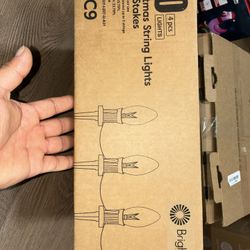 Christmas String Lights With Stakes 