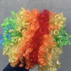 Rainbow Curly Clown Wig