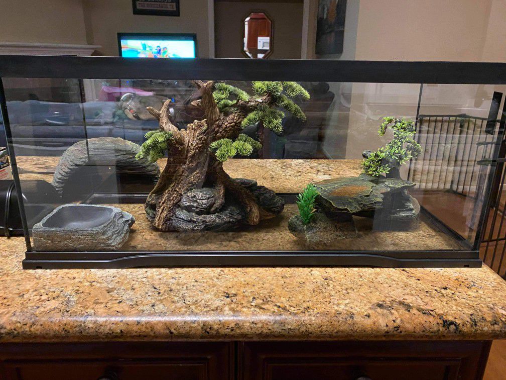 BEARDED DRAGON EXHIBIT AND ALL ACCESSORIES INCLUDED
