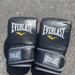 Everlast Boxing Bag Mitts