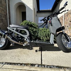 Honda Ruckus**Serious Buyers Only**