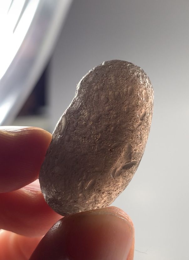 High Vibez Colombianite-Tektite Natural Impact Glass