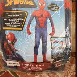 Spaiderman Custom 