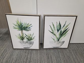 Framed Succulent Canvas Wall Art – Set of 2