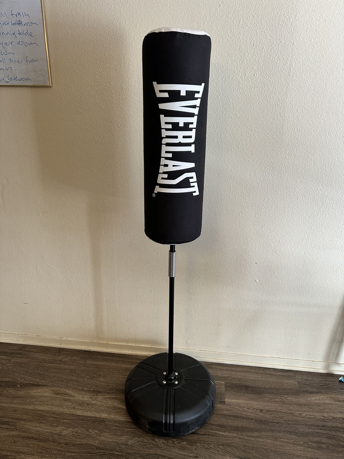 Everlast Boxing/Exercise Bag