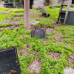 5 Different Sizes Dog Crates Used 15.00 Ea 