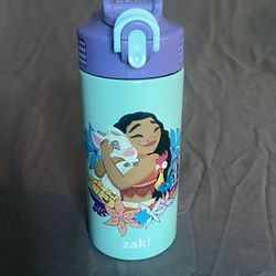 Zak Disney Moana Water Bottle 