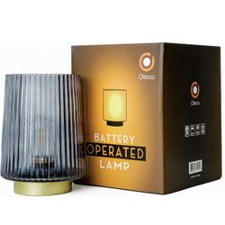 Battery Operated Lamp - Cordless Glass Table Lamp, Battery Powered Nightlight with LED Bulb, Fancy Night Lamp, Decorative Battery lamp, Outdoor Lanter