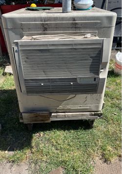 Swamp Cooler Champion