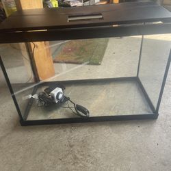 20 Gallon Long Fish Tank