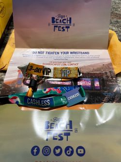 Baja beach fest vip