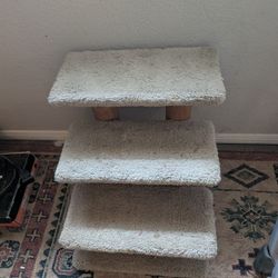 Dog Steps