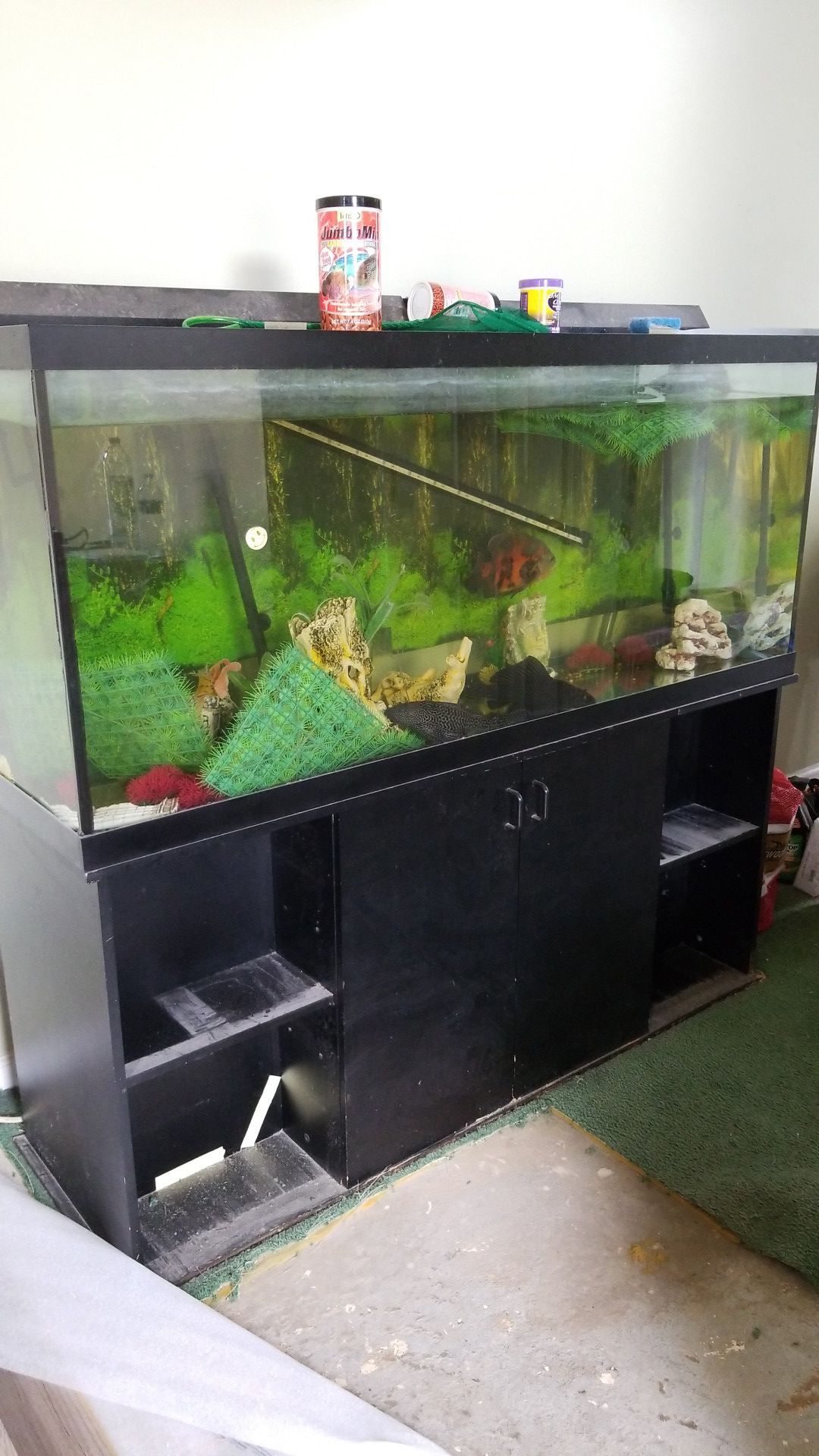 100 gallon aquarium with filters and stand