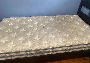 Twin sized bed frame + mattress