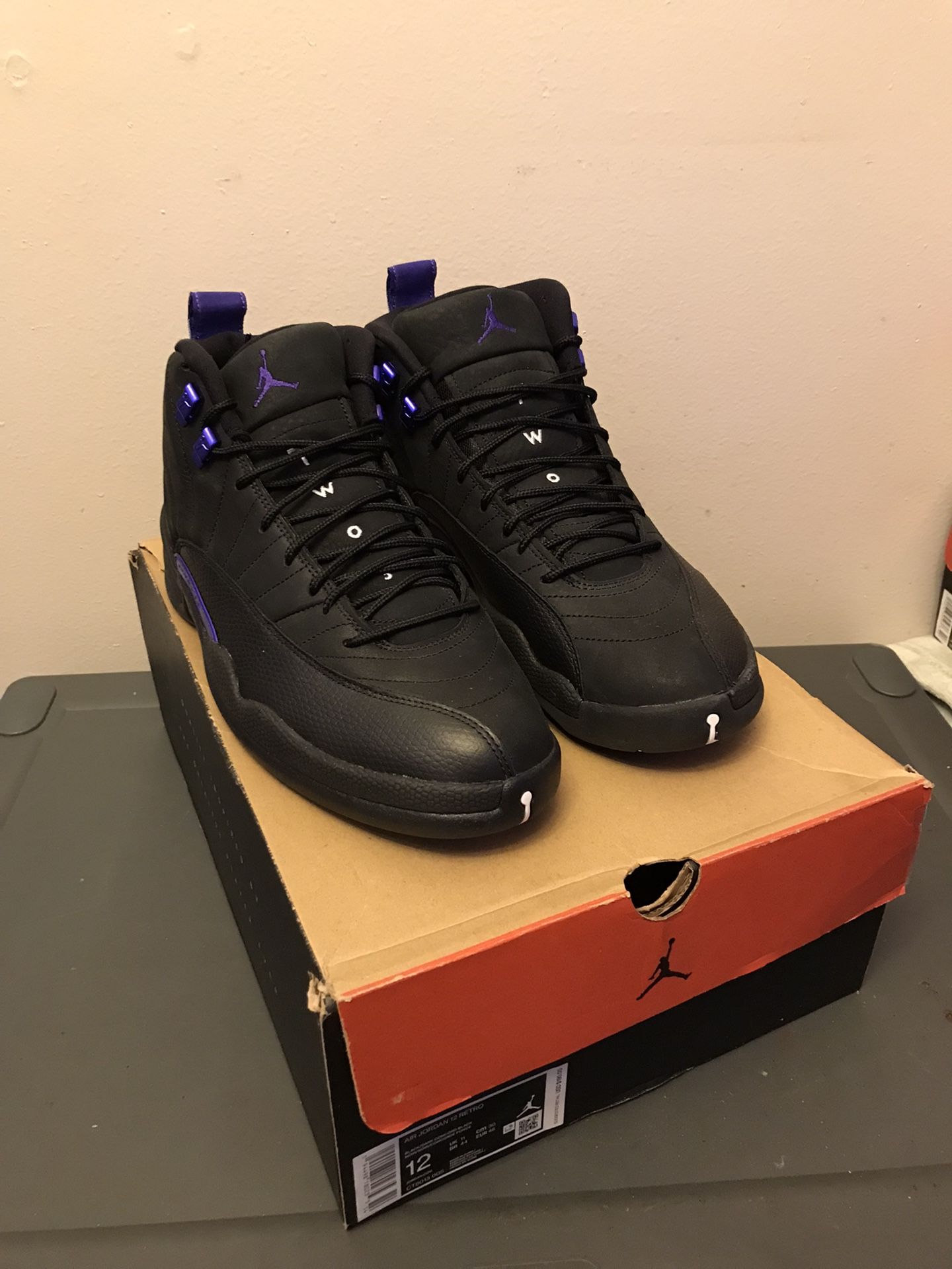 Jordan 12