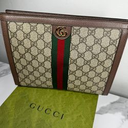 Gucci Ophidia Pouch