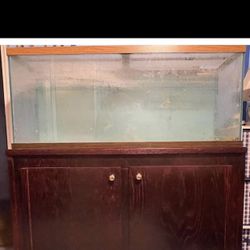 55 Gallon Pet Aquarium    