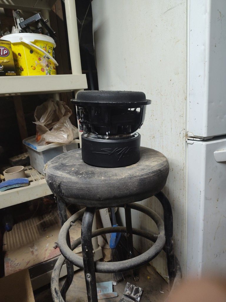 "8 Inch Skar Zvx Dual 2 Ohm!"