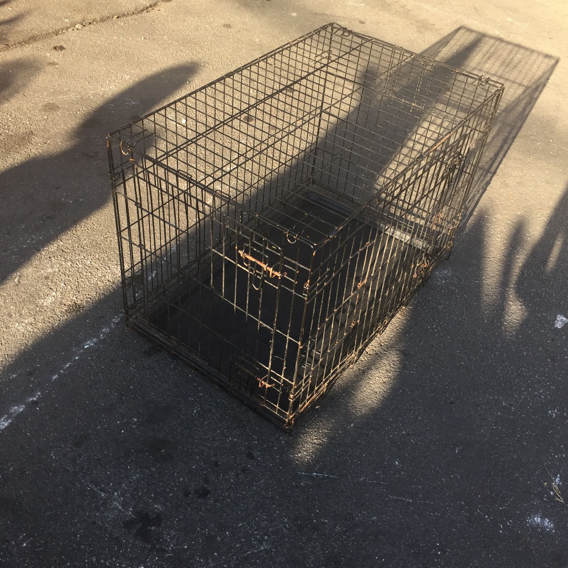 Large Dog Cage! Only $30
