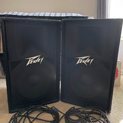 Peavy 115 audio speakers